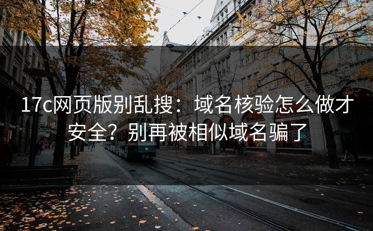 17c网页版别乱搜：域名核验怎么做才安全？别再被相似域名骗了