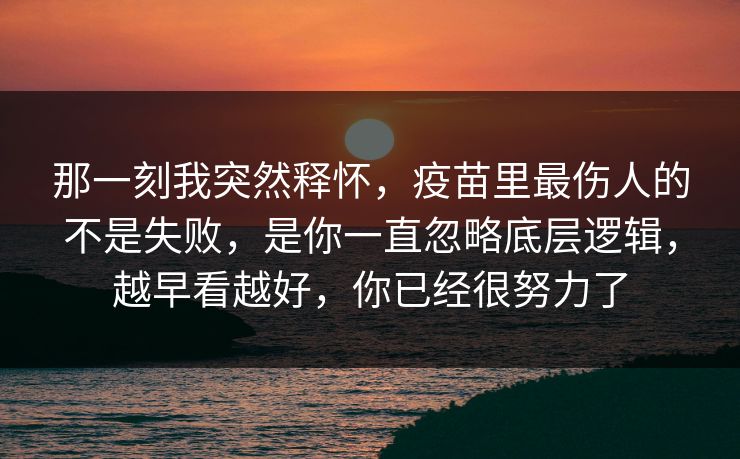 那一刻我突然释怀，疫苗里最伤人的不是失败，是你一直忽略底层逻辑，越早看越好，你已经很努力了