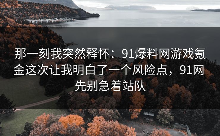 那一刻我突然释怀：91爆料网游戏氪金这次让我明白了一个风险点，91网 先别急着站队