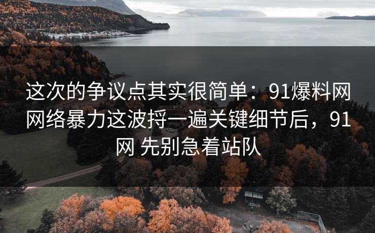 这次的争议点其实很简单：91爆料网网络暴力这波捋一遍关键细节后，91网 先别急着站队