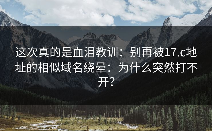 这次真的是血泪教训：别再被17.c地址的相似域名绕晕：为什么突然打不开？