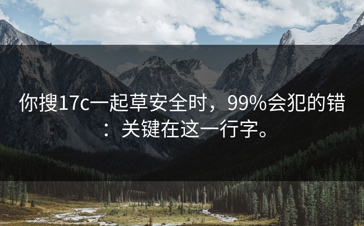 你搜17c一起草安全时，99%会犯的错：关键在这一行字。