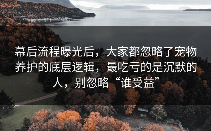 幕后流程曝光后,大家都忽略了宠物养护的底层逻辑,最吃亏的是沉默的人,别忽略“谁受益” 幕后流程曝光后,大家都忽略了宠物养护的底层逻辑,最吃亏的是沉默的人,别忽略“谁受益”