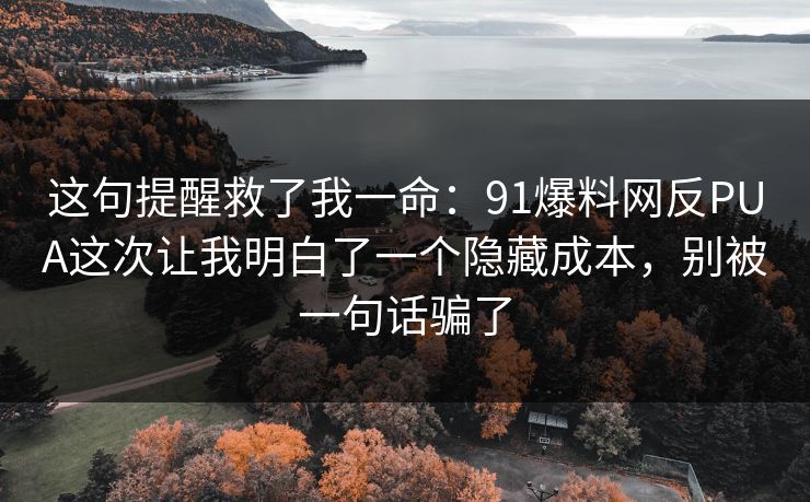 这句提醒救了我一命：91爆料网反PUA这次让我明白了一个隐藏成本，别被一句话骗了